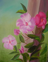 Hibiscus.jpg