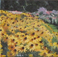 thumbnail image of painting "Black-Eyed Susans"
