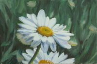 thumbnail image of painting "Joe's Daiisies"