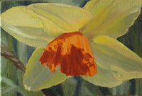 thumbnail image of painting "Nodding Daffodil"