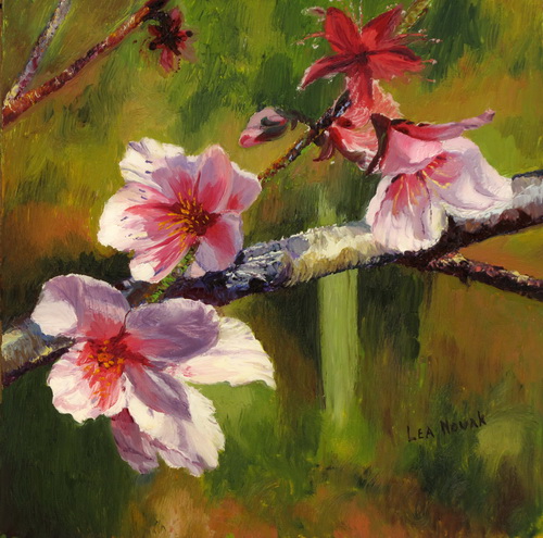 Peach blossom 4 карон. Peach Blossom Paintings. Peach Blossom Art. Peach Blossom Pond. Peach Blossom Watercolor.
